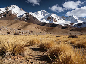 ��Ұ�е�ѩɽ