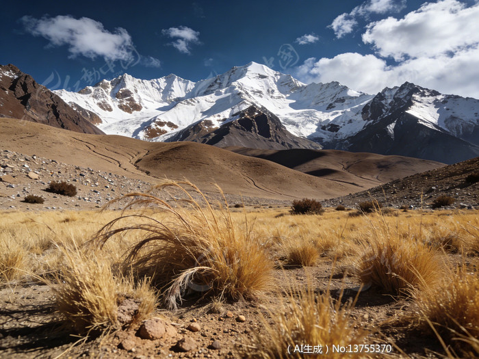 ѩɽ���Ұ���
