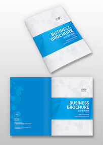 ��ɫ�������