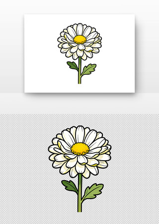 白色雏菊插画 白色雏菊插画
