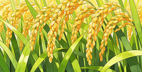 ���ȷ���