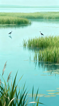 ʪ�ر����Ӿ�����