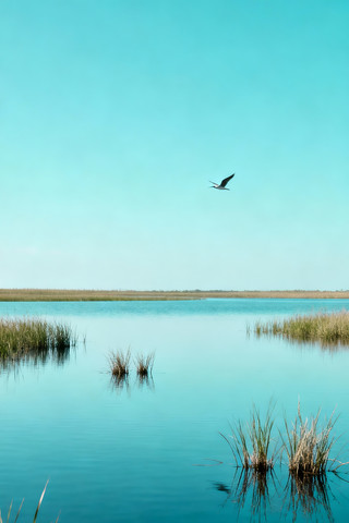 ʪ�ر������ⱳ�� PNG