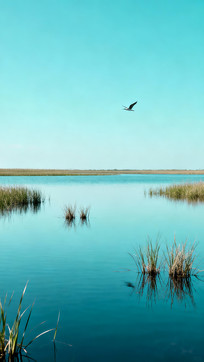 ʪ�ر������ⱳ��