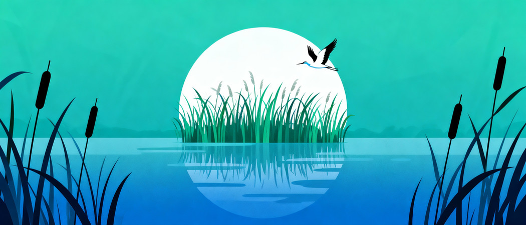 ʪ���պ�����Ʊ��� PNG