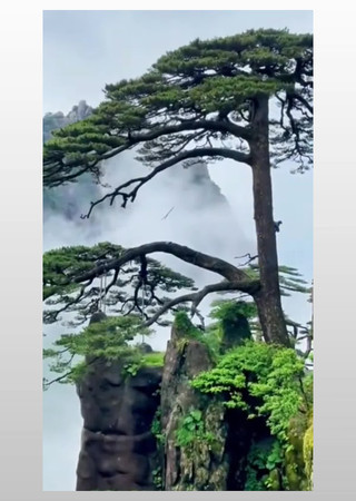 ���ջ�ɽ�羰������ʵ���ز�