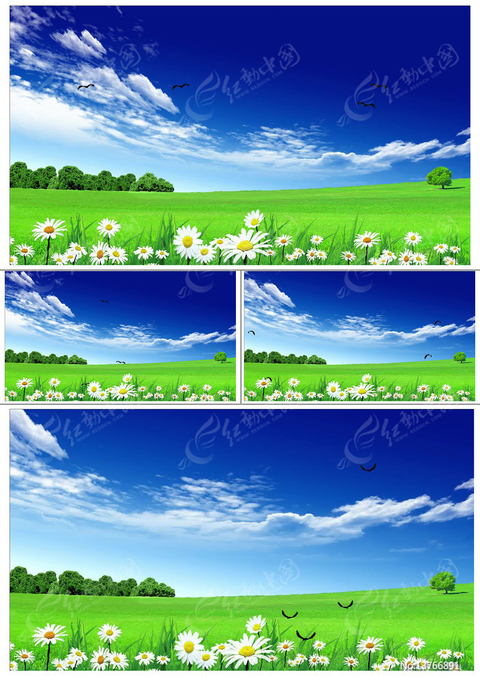 ������ƻ���ݵط���ɭ�ֶ�������