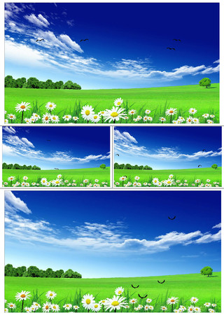 ������ƻ���ݵط���ɭ�ֶ�������