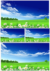 ������ƻ���ݵط���ɭ�ֶ�������