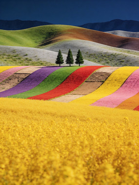 ��ɫ�Ļ���