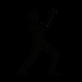 ��Լ����ʿ������������˫�ֶ�����ӰԪ��