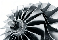 ����ϳ��Ҷ��