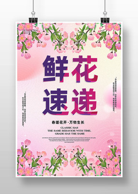 �ʻ���������