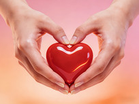 �������͵����������