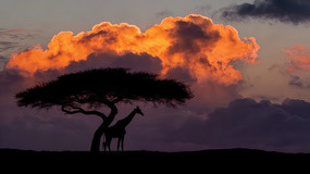 ���޲�ԭ�ϵĳ���¹���ϻ���