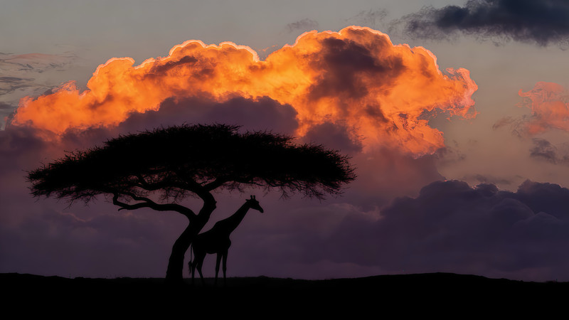 ���޲�ԭ�ϵĳ���¹���ϻ���