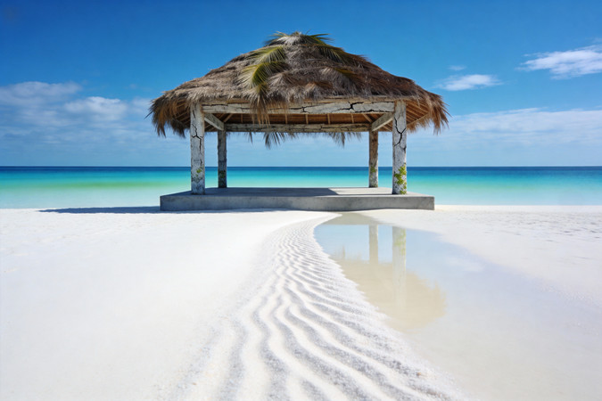 ���ߵ�é����ͤ