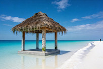 ��̲�ϵ�é����ͤ