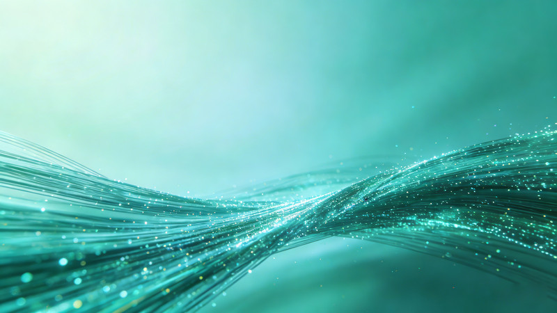 �Ƽ����Ʊ���