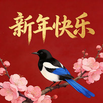 ϲȵ�ִ�������