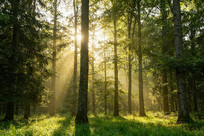 �糿����������Ȼ������