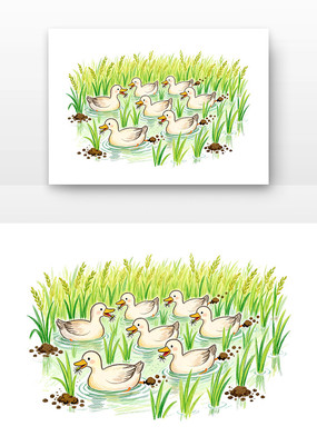 ��Ѽ������ͨ