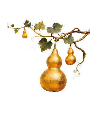 ��ɫ��«����װ��ͼ