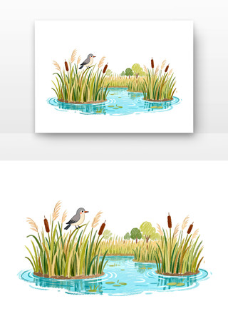 湿地生态芦苇荡飞鸟水景卡通 湿地生态芦苇荡飞鸟水景卡通