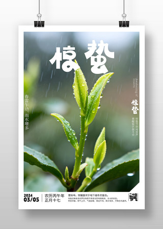 ԭ�����ݽ����������