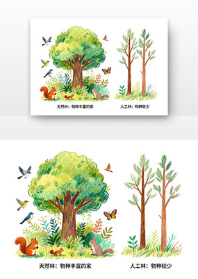 ���ַḻ�Ȳ����ֻ�廭