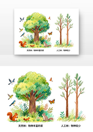 ���ַḻ�Ȳ����ֻ�廭