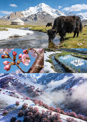 4K��ů������Ƶ�ز�