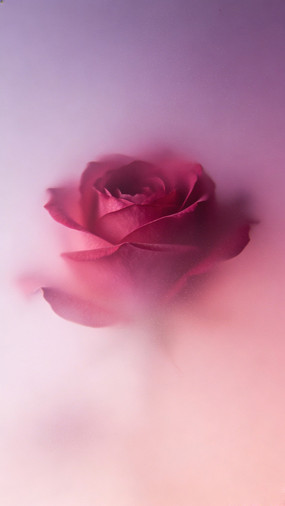 �λ÷�ɫõ�廨