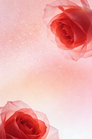 ���˽ں�������ͼ