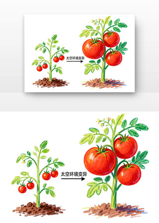 太空育种中国航天日卡通 太空育种中国航天日卡通