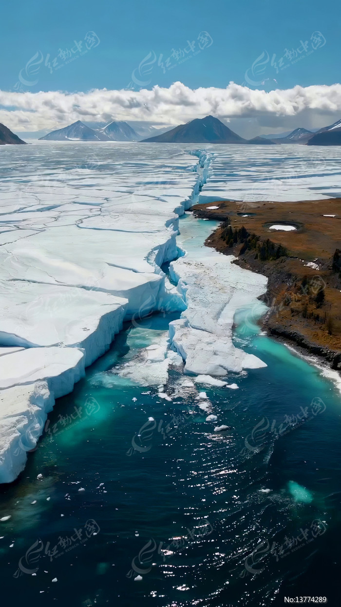 ��������������Ȼ����