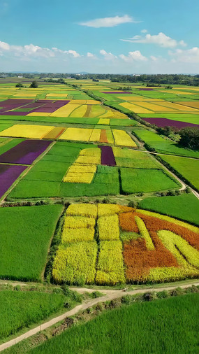 ��ɫũ�ﺽ��ȫ��