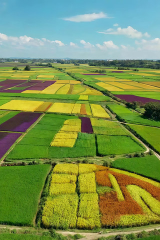 彩色农田航拍全景 彩色农田航拍全景