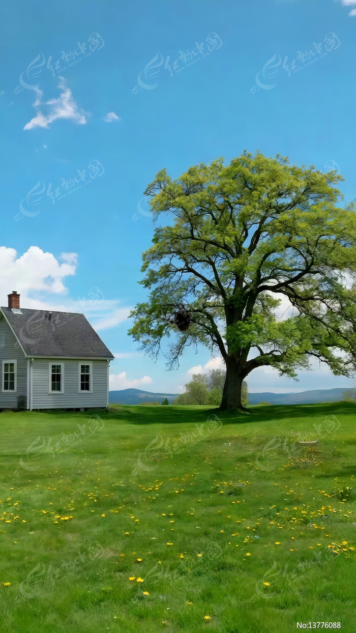 �ݵط����ԵĴ�����Ȼ���