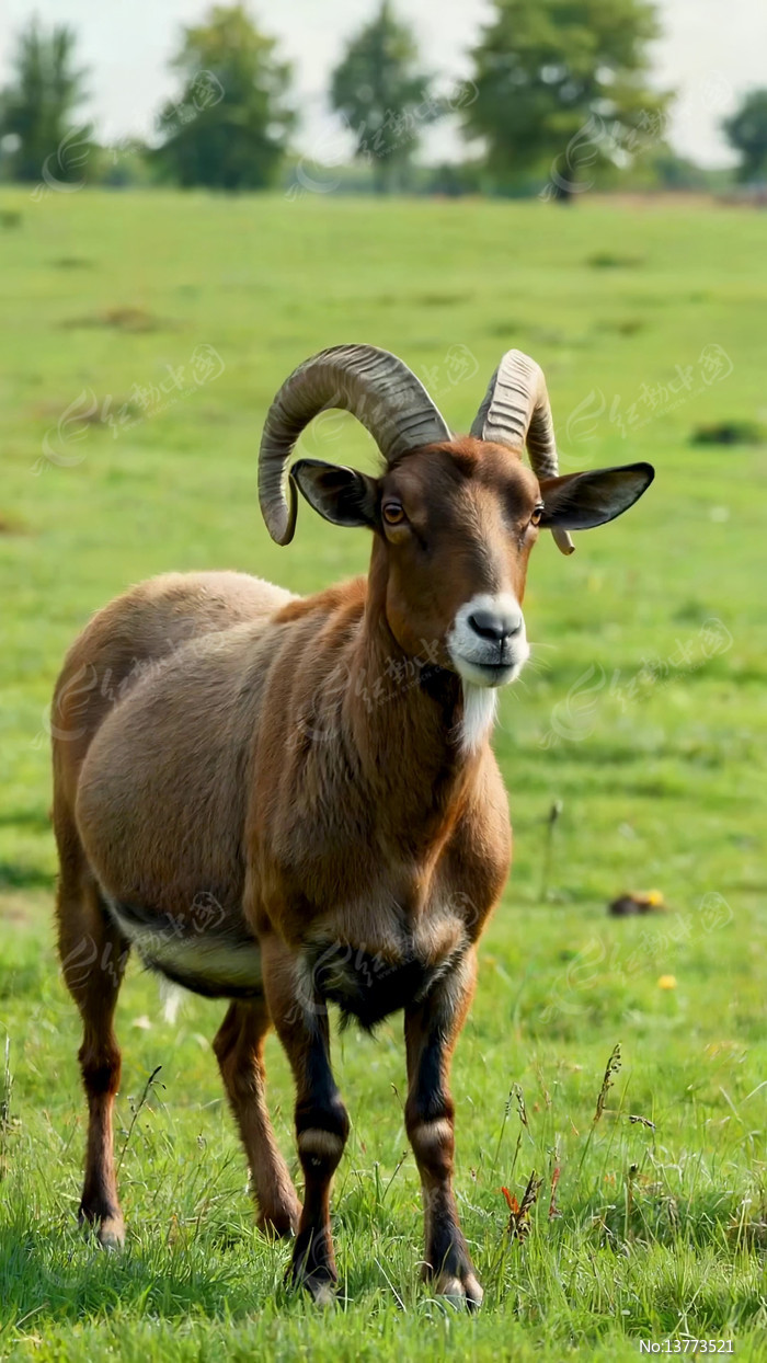 �ݵ��ϵĳ���ɽ��