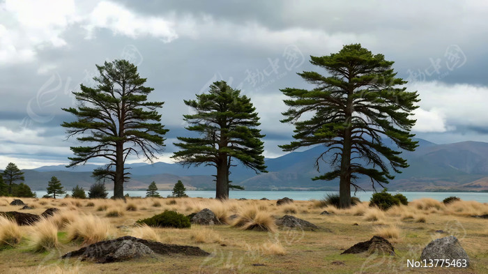 ��ԭ�ϵ���ľ��Զɽ�羰