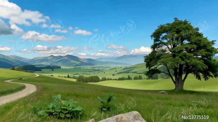 ��ԭɽ�������Ȼ���