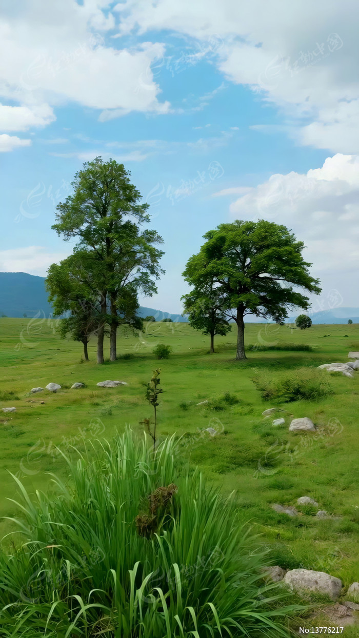 ��ԭ��ľ��Ȼ���