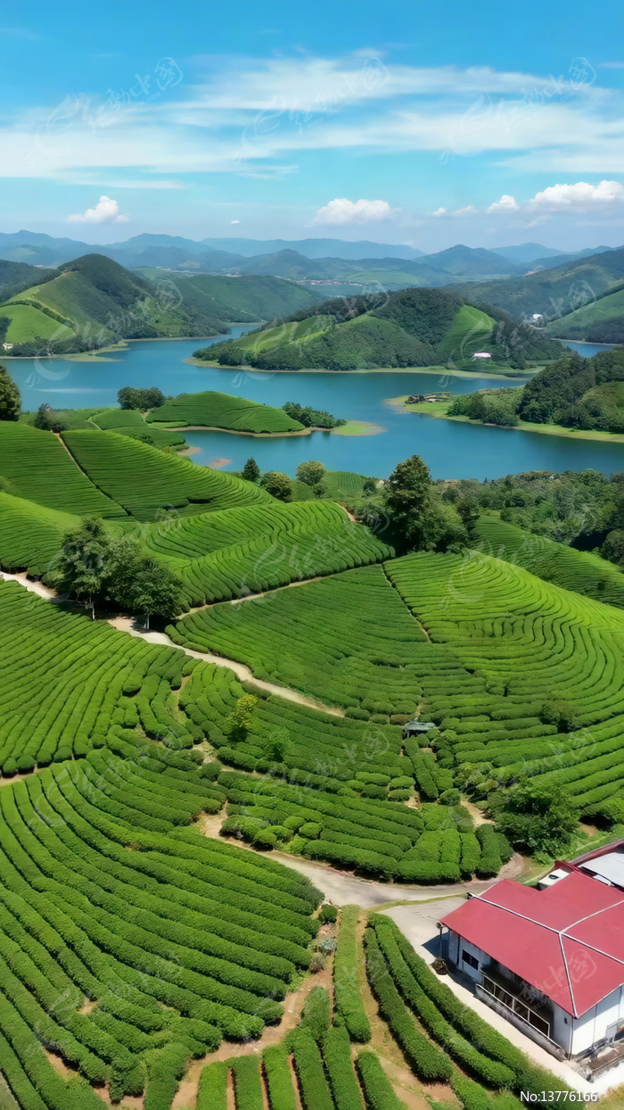 ��԰ɽˮ��⸩�ȫ��