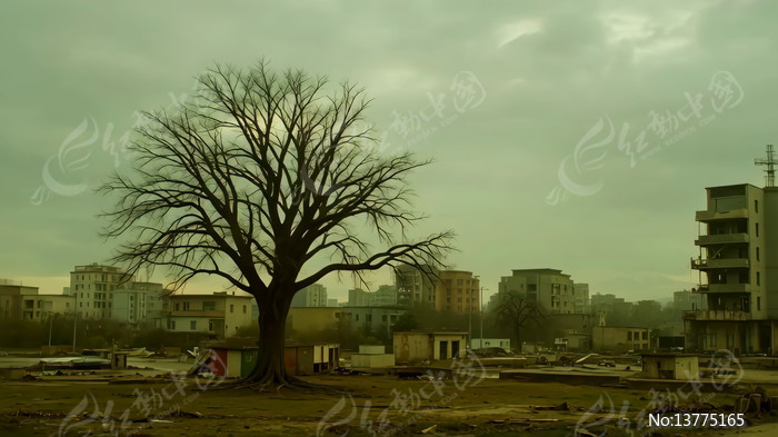 �����п����뽨������