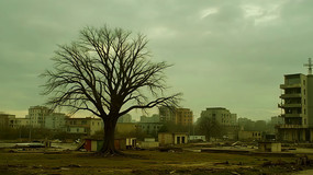 �����п����뽨������