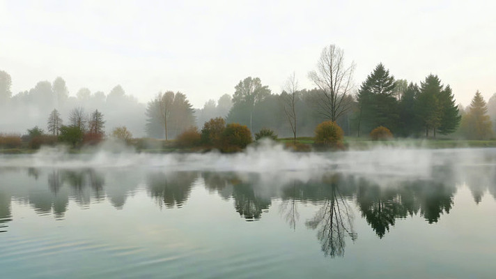 晨雾笼罩的湖泊树林风景 晨雾笼罩的湖泊树林风景