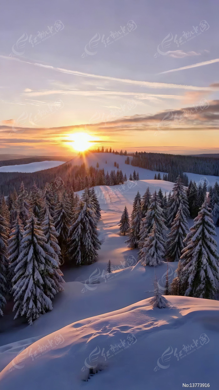 ����ɭ��ѩ�����侰��