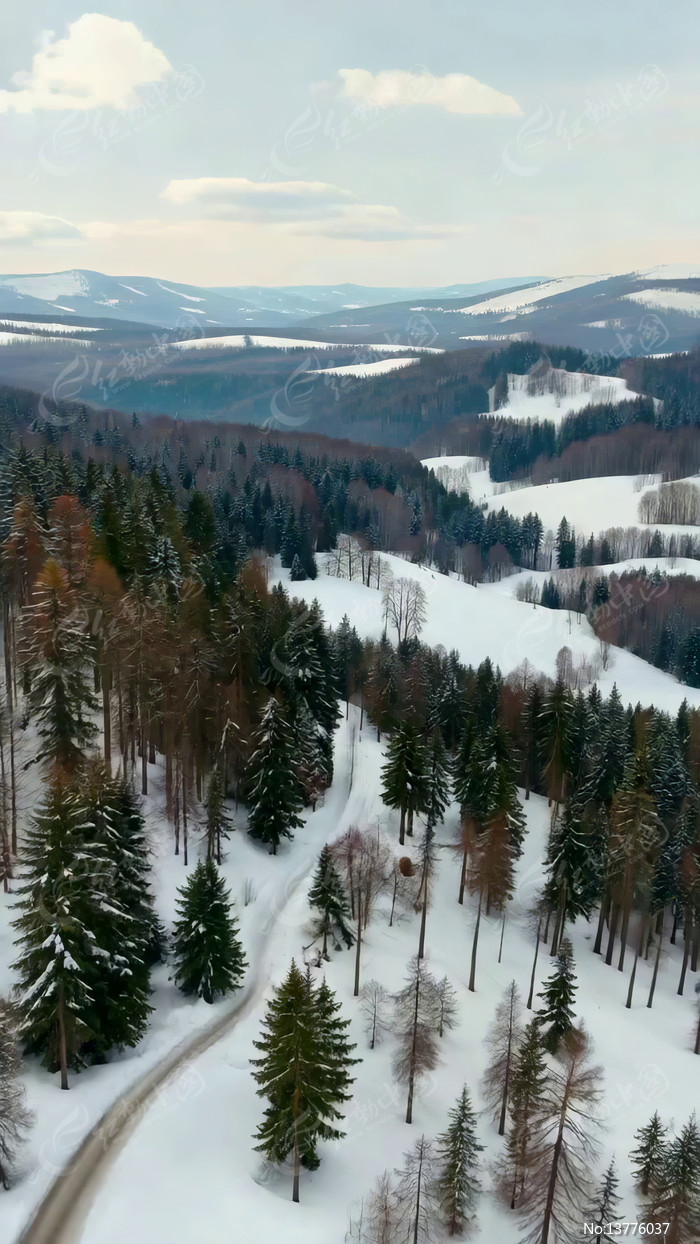 ����ɽ��ѩ������ȫ��