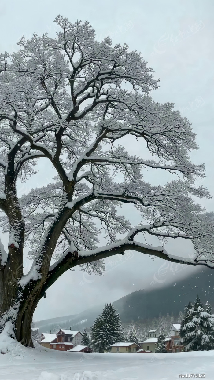 ����ѩ���еĴ��������